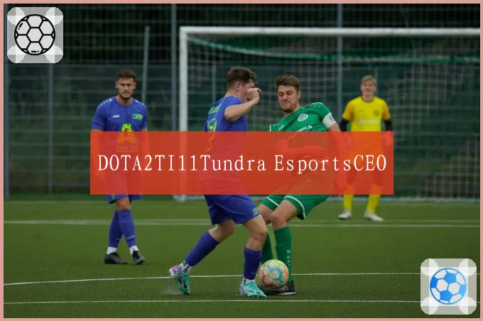 DOTA2TI11Tundra EsportsCEO