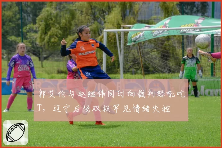 郭艾伦与赵继伟同时向裁判怒吼吃T,辽宁后场双核罕见情绪失控