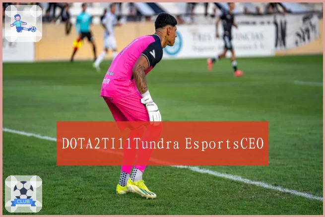 DOTA2TI11Tundra EsportsCEO