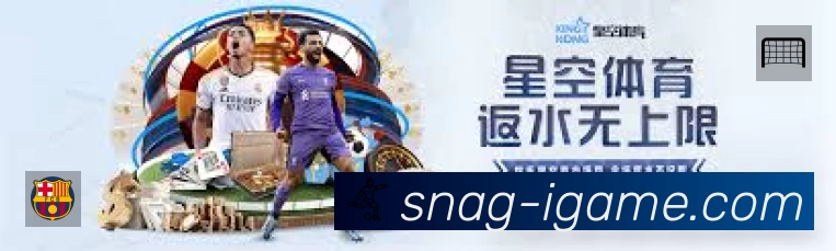 全球访问热力分布图
